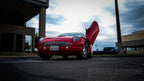 Vertical Doors Inc conversion kit for 2002–2006 Ford Thunderbird - image 1