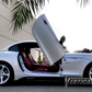 BMW Z4 Vertical Doors Kit | Z4 Lambo Doors Fit 2009-2016