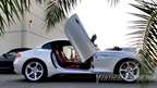 BMW Z4 Lambo Doors Kit (2009-2016)